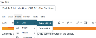 Screen shot in Canvas of external link choice