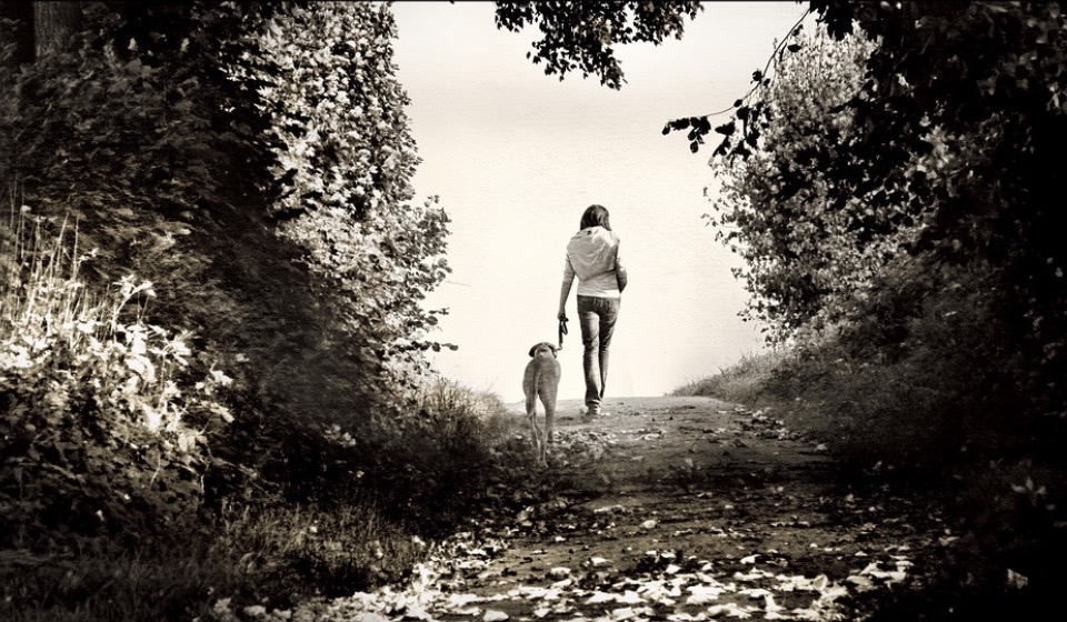 woman walking a dog