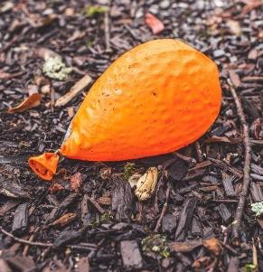 A deflated balloon