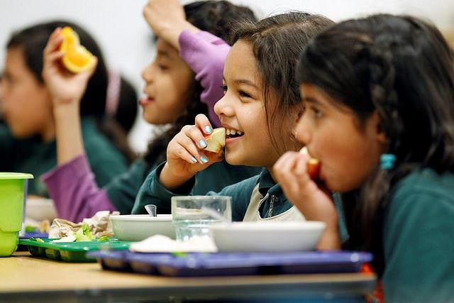 Children eating lunch together at school.